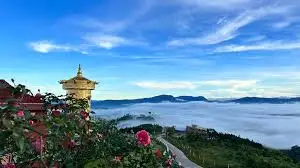 Khám phá bí quyết làm cá basa kho tộ thơm ngon hấp dẫn nhất!